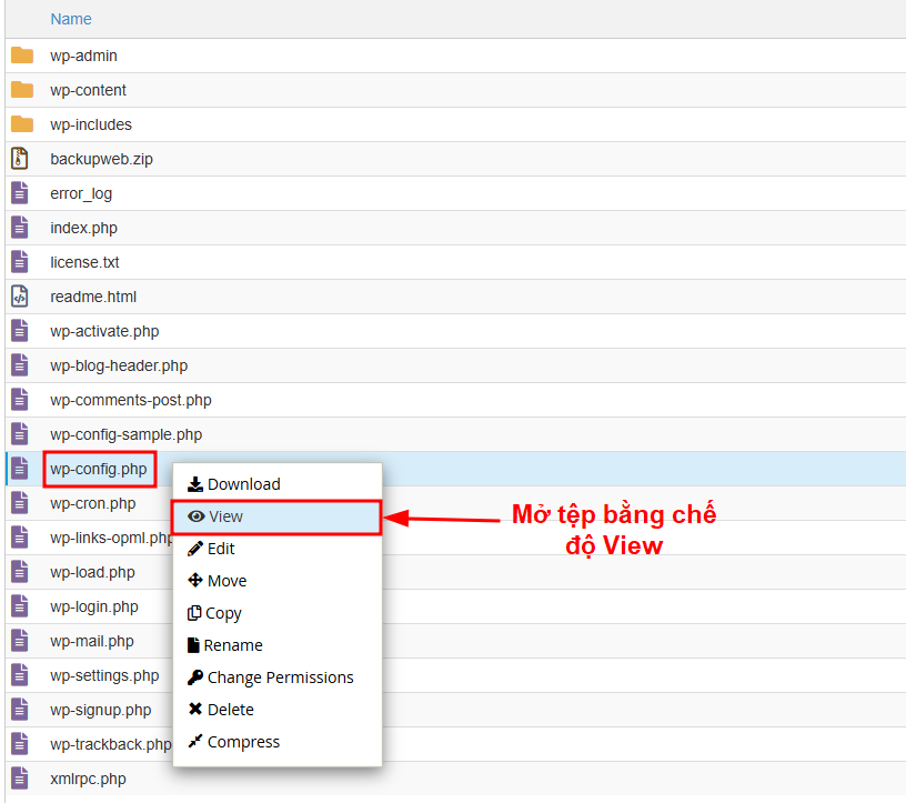 Mở tệp wp-config bằng chế độ View.
