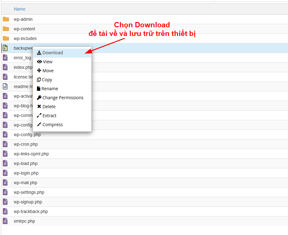 Tải tệp backup về thiết bị.