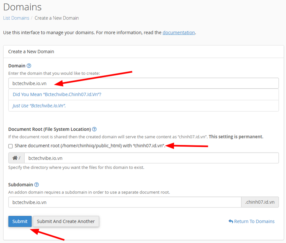 Điền các thông tin cần thiết trong giao diện Create a New Domain