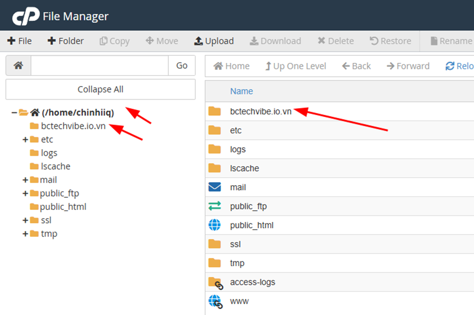 Thư mục website của Addon Domain vẫn còn trong File Manager